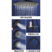 ARROW 箭牌卫浴 AE3376S  双自洁四功能花洒套装 N款