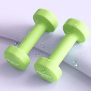京东百亿补贴：PROIRON 浸塑磨砂纯铁哑铃 果绿色2KG*2