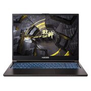 Hasee 神舟 战神T8-DA5NP+ 16英寸游戏本（i5-12500H、16GB、512GB、RTX3060）