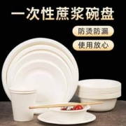 兰月星 户外野餐可降解一次性餐具 85件套/20人装