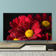 PLUS会员！TCL 65T8E-MAX 液晶电视 65英寸 4K