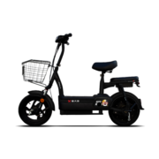 PALLA K6 48V20Ah长续航电动自行车小洲洲IP版新大洲新国标代步电瓶车 油光雅黑