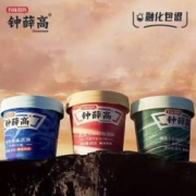 新品，钟薛高 山河杯系列冰淇淋 9杯装