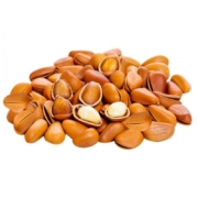 plus会员：野生开口松子 500g*2件