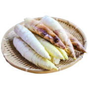 薯小萌 临安雷笋 5斤中号雷笋