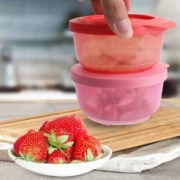 Tupperware 特百惠 密封保鲜盒 200ml*4个