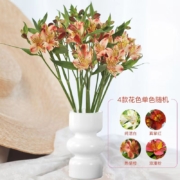 需领取：花点时间 六出花 10支