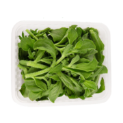 果沿子 新鲜冰草菜水晶菜 新鲜蔬菜 沙拉蔬菜 优选1.5斤