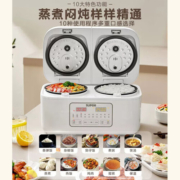 苏泊尔（SUPOR）双胆电饭煲一体双拼家用4L多功能智能煲汤蒸煮迷你小型预约微压全自动双控电饭锅 SF20TC601 双胆双控 2L4L自由切换