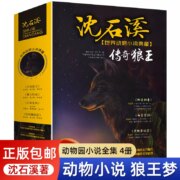 沈石溪 世界动物小说典藏全集 4本套