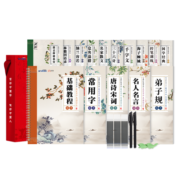 绍泽文化 楷书成人练字帖 学生硬笔钢笔行楷凹槽21天速成临摹练字本 大本豪华视频版