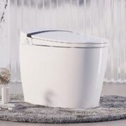 HOROW 希箭 S4Pro 虹吸式智能马桶