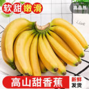 京喜特价、需首购礼金：探味君 高山芭蕉 5斤精选装