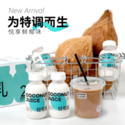 逆牌轻椰乳246g*8瓶椰汁椰奶生椰拿铁咖啡专用含电解质饮料