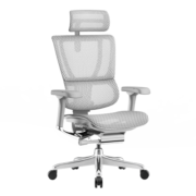 保友办公家具（Ergonor） 优旗舰 2代/w 2代 人体工学椅电脑椅家用电竞椅办公椅老板椅 银白(Q4.0)美国网 旗舰版