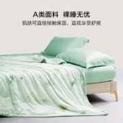 BLISS 百丽丝 清雅幽梦水洗抗菌蚕丝夏被 200X230cm