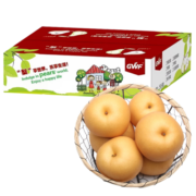 京鲜生 羊脂秋月冰糖梨 净重5斤 5-9粒 精品 生鲜水果礼盒