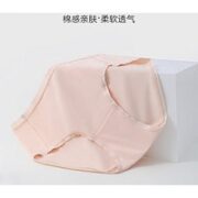 Ordifen 欧迪芬 女士莫代尔内裤 XK2502A