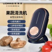 UORRIS 欧瑞氏 果蔬清洗机洗菜净化器 2色