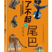 了不起的尾巴  童书 (日)今泉忠明编著 安徽科学技术出版社 9787533772239