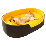 京东百亿补贴：KimPets 半封闭猫狗窝 牛油果绿 xs号 30*40
