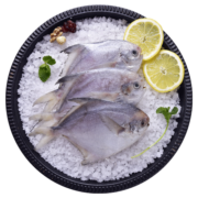 GUO LIAN国联 东海白鲳鱼 银鲳鱼 600g 5-8条  深海鱼产地直供   国产生鲜