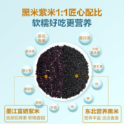 良品铺子 紫米三明治吐司 三层夹心早餐面包 555g x1箱