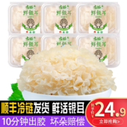 古松 福建特产古田新鲜银耳非干货雪耳丑耳 白木银耳莲子羹6朵700g