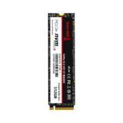 PLUS会员：Great Wall 长城 固态硬盘 1TB