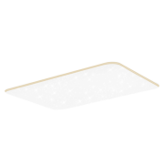 雷士（NVC）LED吸顶灯长方形客厅灯卧室灯餐厅灯具现代简约遥控调光灯饰