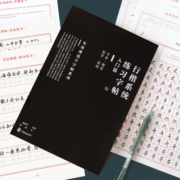 【有老师免费指导】一起练字行楷字帖系统练习入门速成基础进阶训练临摹成人手写体字帖实用行书书法纸硬笔书法大学生描红本练字本
