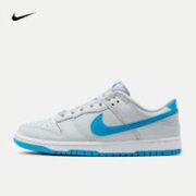 NIKE 耐克 DUNK LOW 男子休闲鞋 DV0831-001