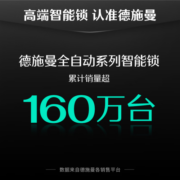 德施曼（DESMAN）全自动智能门锁指纹锁密码锁防盗门锁 电子锁门禁米家智能联动Q3P Q3P高端黑