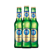 PLUS会员：崂山啤酒 经典金麦 316ml*24瓶