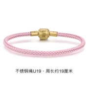 Chow Sang Sang 周生生 女士不锈钢手绳 PS00003-4