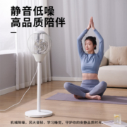 长虹空气循环扇家用静音电风扇遥控台地两用宿舍3D立体定时落地扇