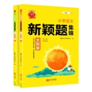 王朝霞新颖题集锦太阳版知识大盘点语文数学四五六年级主题情境学习学霸阅读理解专项思维训练小升初衔接总复习试卷优美句子积累