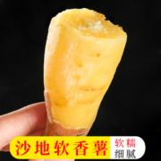 陕西沙地软香红薯 新鲜现挖农家自种黄心香蜜薯板栗番薯地瓜辅食