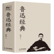 【689页】鲁迅全集正版鲁迅文集作品集杂文散文小说集诗歌朝花夕拾呐喊阿Q正传狂人日记彷徨故乡鲁迅散文集现代文学鲁迅的书籍全集