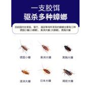 蟑螂药家用全窝端正品非全室内无毒厨房胶饵小强强力灭蟑杀蟑神器