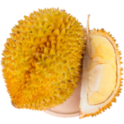京鲜生 泰国进口金枕头榴莲 2.5-3kg 1个装 新鲜水果