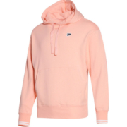 PUMA 彪马 男女同款连帽运动卫衣 53143026