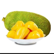 京东PLUS 美得乐 海南黄肉菠萝蜜 新鲜水果当季木波罗蜜黄心 15-20斤