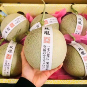 鲜其 海南网纹蜜瓜网红瓜 整箱2.5-3斤*3件
