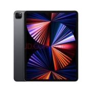 Apple 苹果 iPad pro2021款 12.9英寸平板电脑 5G版 512G