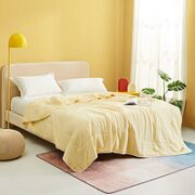 LUOLAI 罗莱家纺 One+亲柔防螨抗菌纤维水洗夏被 220*250cm