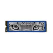 MOVE SPEED 移速 YSSDXB-1TN5000 NVMe M.2 固态硬盘 1TB