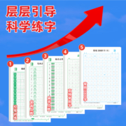 常用3000字楷书练字帖小学生初学者入门控笔训练字帖笔画偏旁部首高频常用字钢笔硬笔书法练字本成人大学生正楷描临摹字帖
