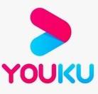 YOUKU 优酷 会员年卡12个月