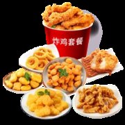 PLUS会员：HIFIRST 惠发 炸鸡套餐空气炸锅食材 1.56kg